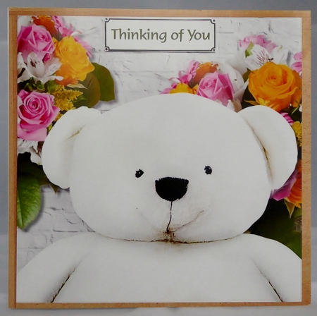 Teddy with flowers for various occasions by Irene Woods