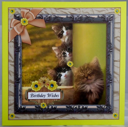 SLEEPY KITTEN / S MULTI SENTIMENT SHEET by Irene Woods