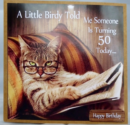 A Little Birdy Told Me Someones Turning 50 Today 8x8 by Irene Woods
