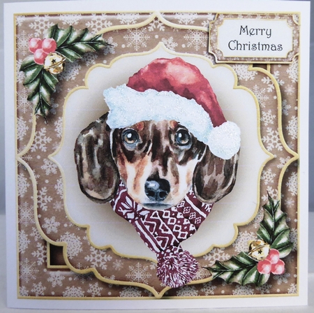Gorgeous Christmas Dog - Dachshund 8x8 by Irene Woods