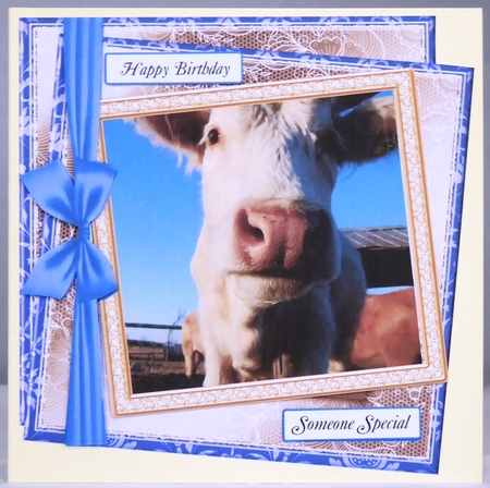GENERIC MULTI SENTIMENTS FARM COW by Irene Woods