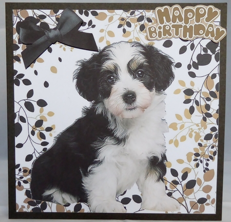 Cute black/white puppy with black bow in leaf frame 8x8 by Irene Woods
