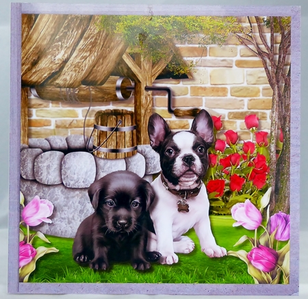 Who let the dogs out by Irene Woods