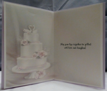 Blush Bride insert by Irene Woods