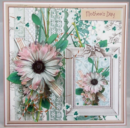 The pink daisy by Irene Woods