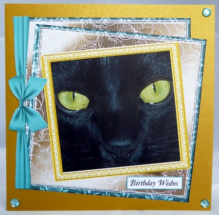 NEW STASH TOP UP BLACK CAT by Irene Woods