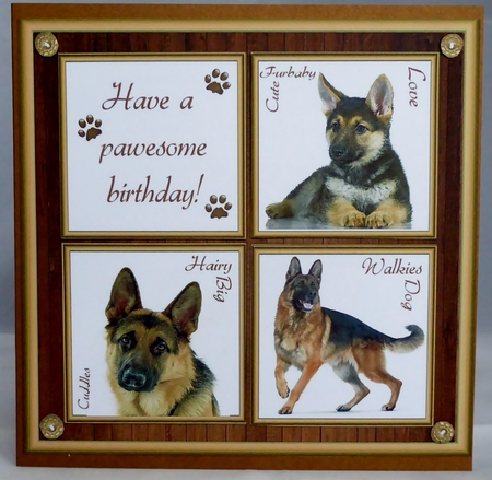 Gorgeous Alsatian  Cubes 8x8 Mini Kit by Irene Woods