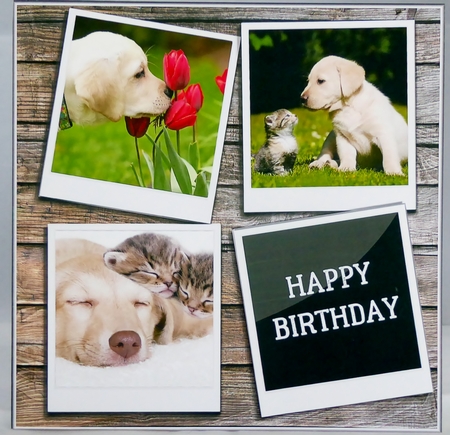 PUPPY LOVE 6X6 by Irene Woods