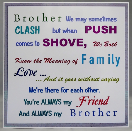 Birthday Brother by Irene Woods