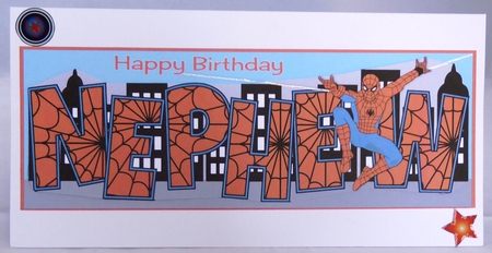 Spiderman NEPHEW large dl 2 by Irene Woods