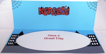 Spiderman NEPHEW large dl 2 insert by Irene Woods