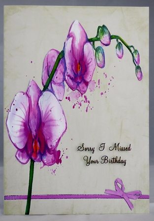 Sorry I missed your Birthday by Irene Woods