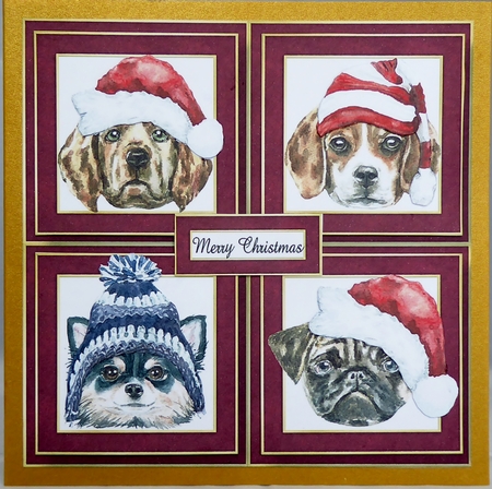 Christmas Hats Dogs Quad Frame by Irene Woods