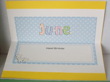 Birthday June Matching Large Dl Insert by Irene Woods
