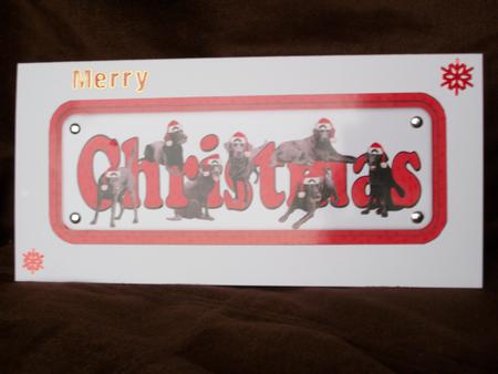 Black Labradors with Hats Christmas Name Sign by Irene Woods