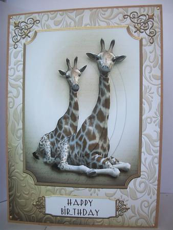 Giraffe Babies A5 Topper with Pyramage by Irene Woods