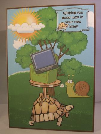 Tortoise Moves House by Irene Woods