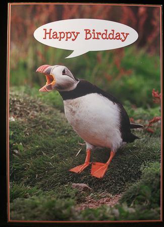 Puffin Large Birthday Topper by Irene Woods