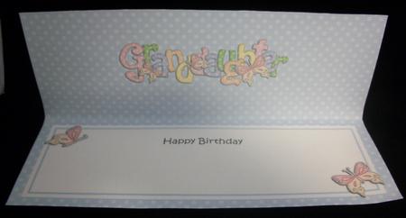 Large Dl Birthday Granddaughter Butterflies Insert by Irene Woods