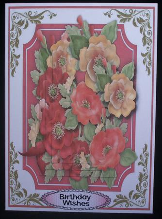 Lovely Pyramid Poppies  by Irene Woods