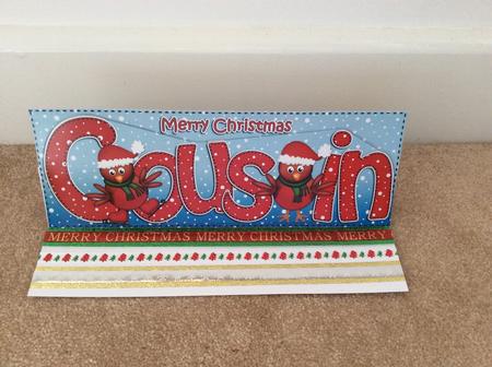Large Dl Christmas Cousin Robin Quick Card 3D Decoupage by Jo Taylor