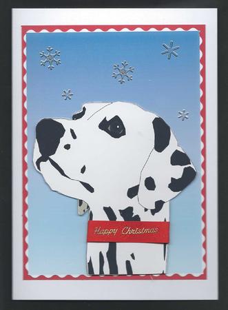 Dalmation by Lucy Jones