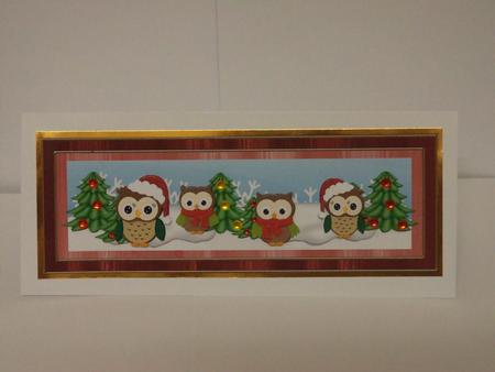 Christmas Owls1 Red Large Dl Decoupage Card & Env Kit by Lynda Davies