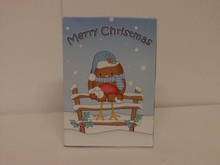 3D Little Christmas Bobin Robin Gift Bag Mini Kit by Lynda Davies