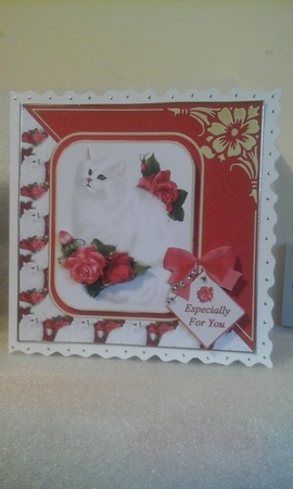 Fluffy White Cat & Roses by sherry ratcliffe