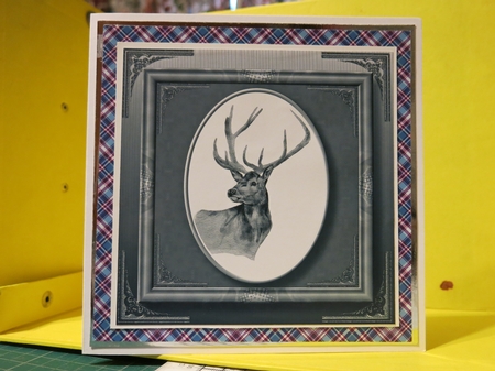 Gorgeous Animal Painting - Male QUICK TOPPER Bumper Kit by Glenys Linehan