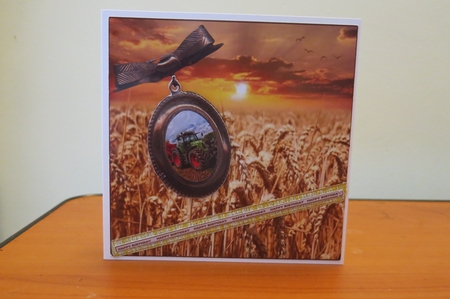 REAP THE SEED HARVEST 8x8 WITH MULTI SENTIMENT RIBBONS by Glenys Linehan