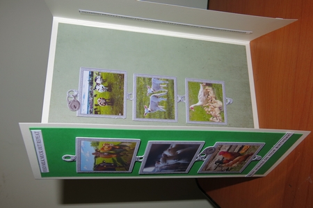 FARMING ITS A GOOD LIFE 1 CARD FRONT/TOPPERS 8X8 & FUNNY SENTIMENTS by Glenys Linehan