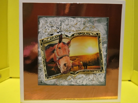 Horsing About by Glenys Linehan