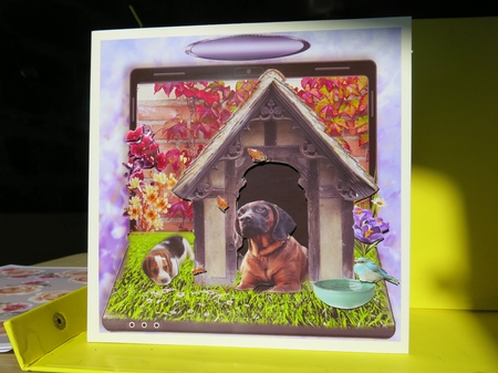 a dogs life by Glenys Linehan
