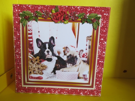 Animal Friends for Christmas by Glenys Linehan