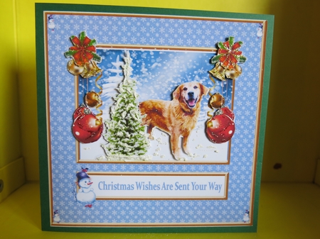 Dog Christmas  by Glenys Linehan