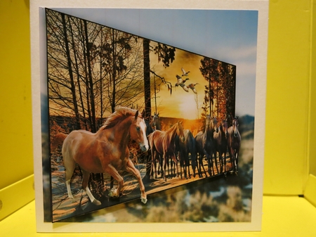 wild horses by Glenys Linehan