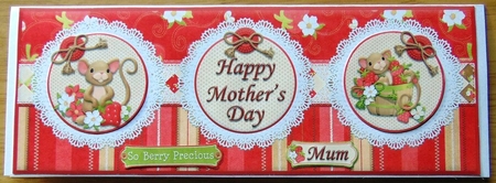Mother's Day,birthday or Thank You Dl Card Front by Joyce Watson