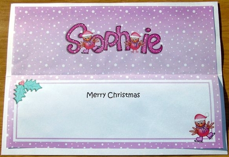 Merry Christmas Sophie Robins Matching Large Dl Insert by Joyce Watson