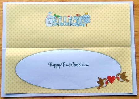 Snowman 1st Xmas Elliot Large Dl Insert by Joyce Watson