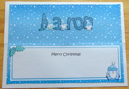 Xmas Aaron Penguins Matching Large Dl Insert by Joyce Watson