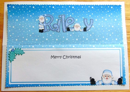 Xmas Riley Santa Matching Large Dl Insert by Joyce Watson