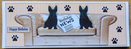 Sofa and Paws by Joyce Watson