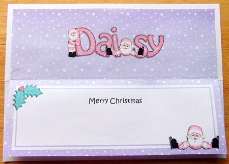 Xmas Daisy Santa Matching Large Dl Insert by Joyce Watson