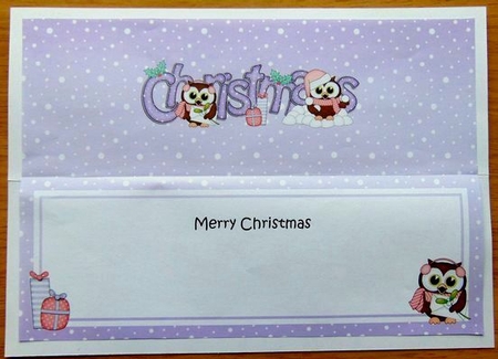 Christmas Little Hoot Owls Matching Large Dl Insert by Joyce Watson