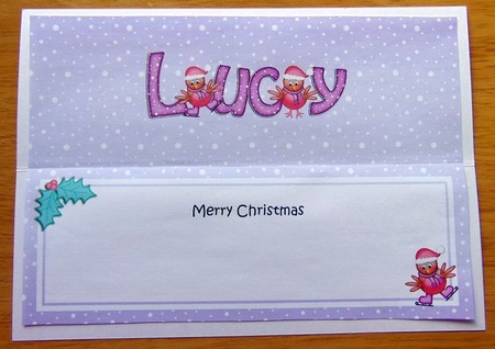 Large Dl Xmas Lucy Robins Matching Insert by Joyce Watson