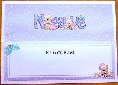 Large Dl Xmas Neave Livvy Bear Matching Insert by Joyce Watson