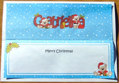 Large Dl Xmas Gabriella Livvy Bear Insert by Joyce Watson