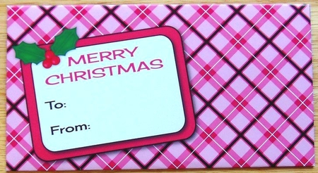 Christmas Tartan Money Wallet 6 by Joyce Watson