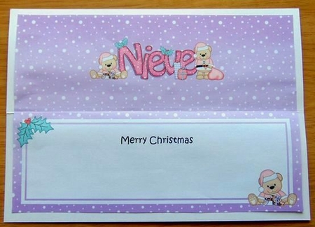 Large Dl Xmas Nieve Livvy Bear Insert by Joyce Watson